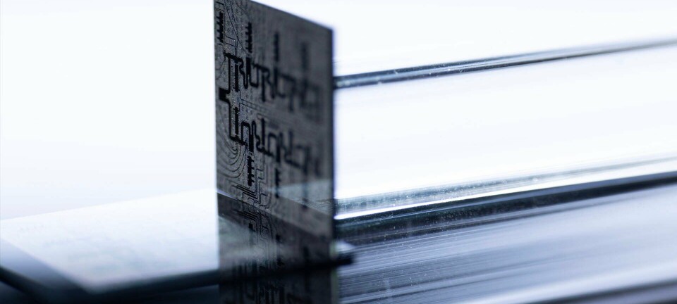 Image of AWS's Ocelot quantum chip