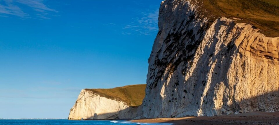 Dorset coast