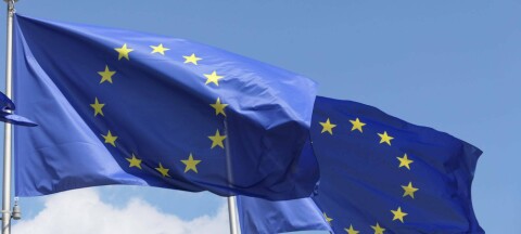 EU flags