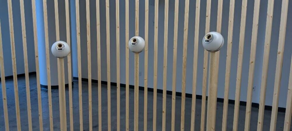 World's Orb scanner