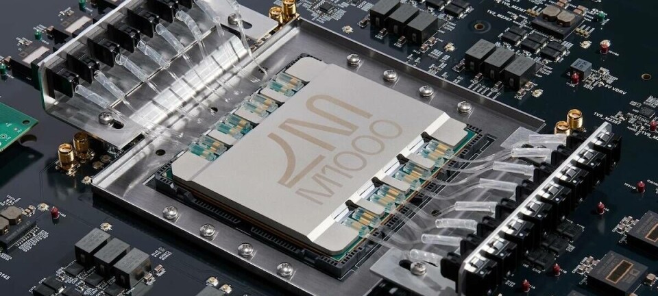 Here's what the Passage M1000 chip looks like