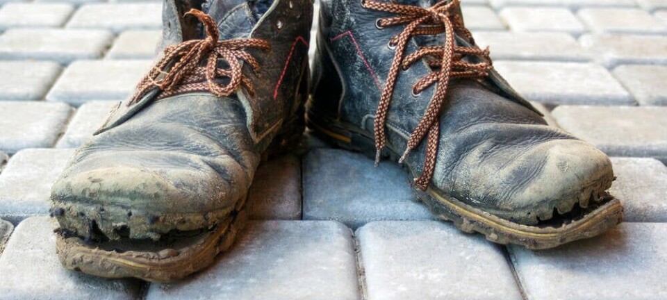 boot