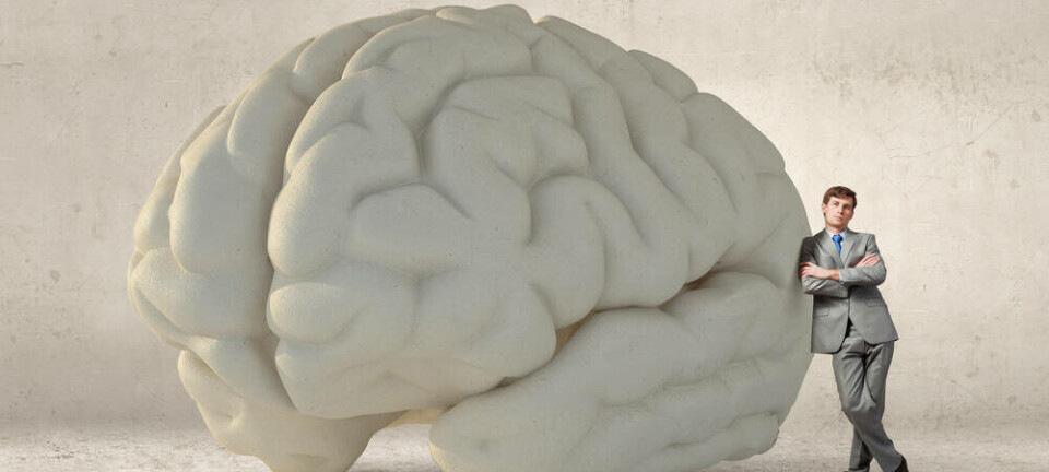 brain