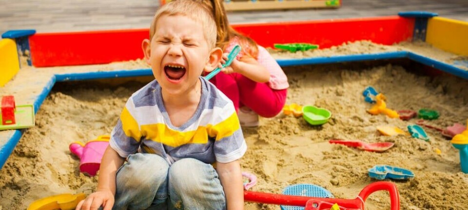 sandbox