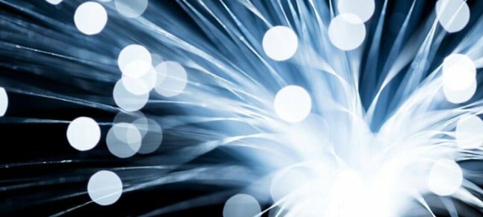 Fibre, image via Shutterstock
