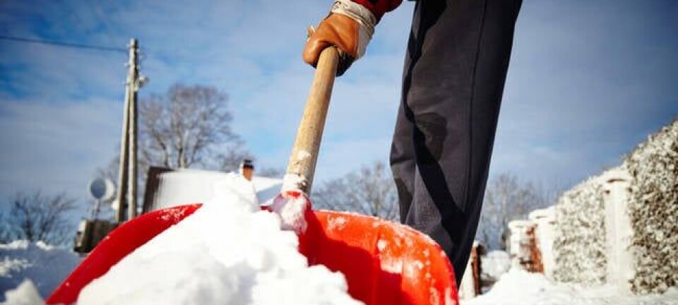 snow shovel