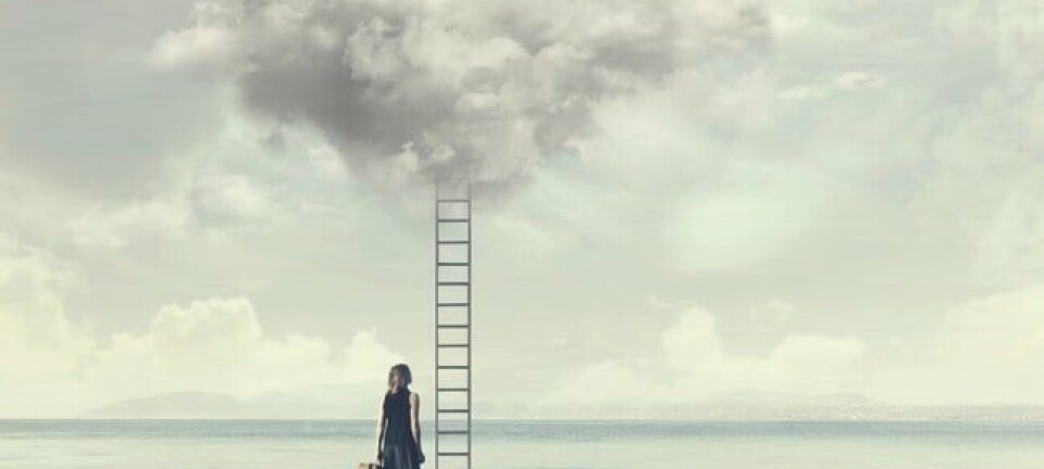 A woman standing by a ladder to a cloud