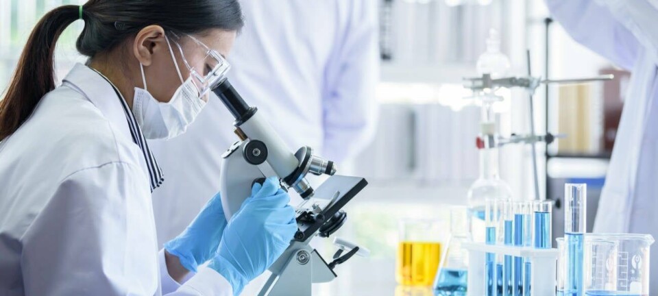 Someone peering down a microscope in a lab