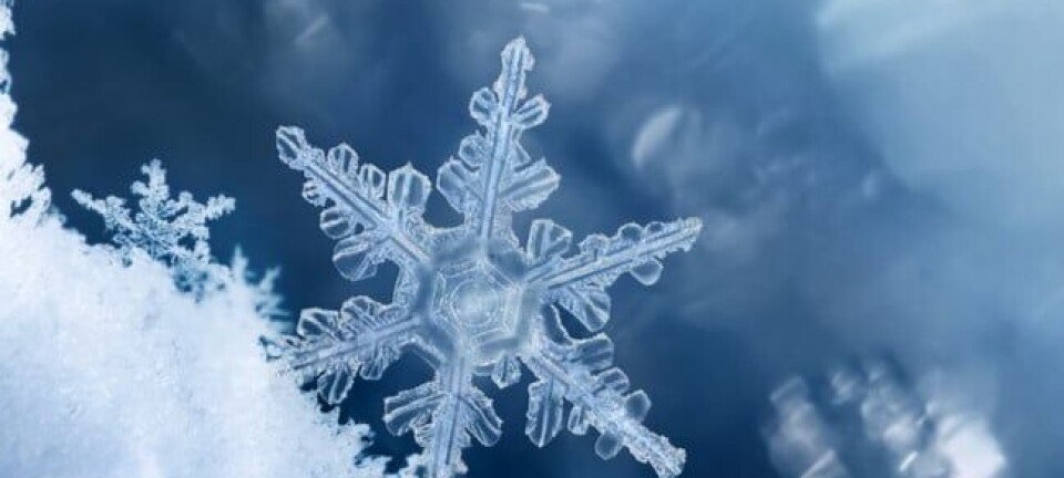 Digital composite of snowflakes and frost