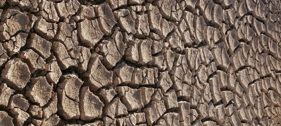 Drought