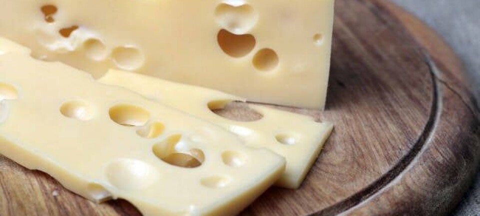 Swiss cheese