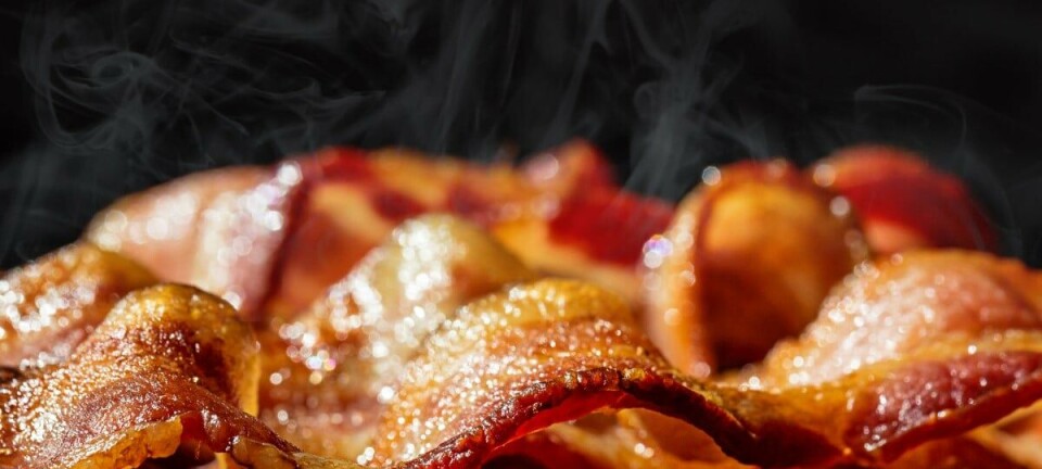Bacon