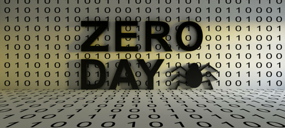 zero_day_bug_software