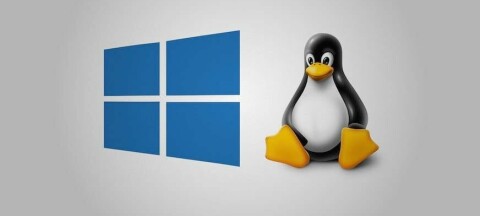 Microsoft Windows and 'Tux' Linux logos next to each