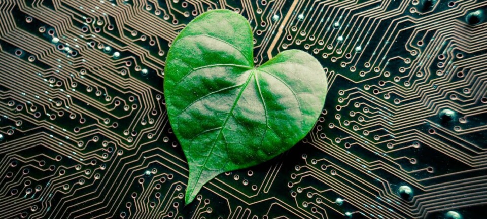 A green leaf on a circuit board