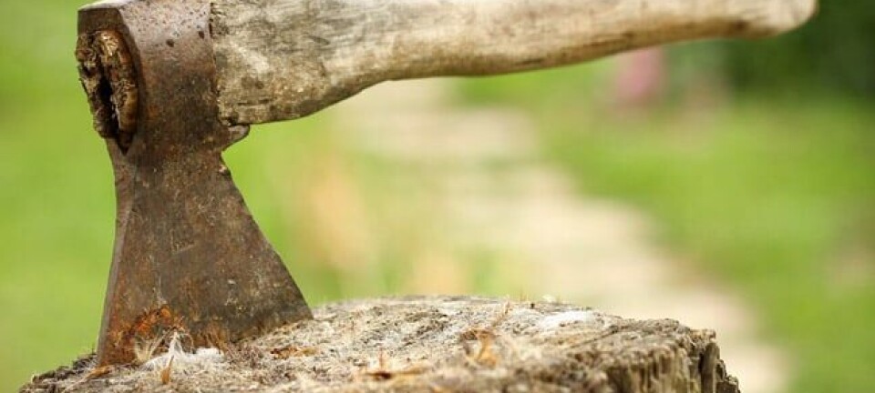 Axe, image via Shutterstock