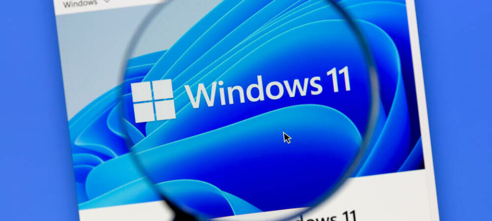 windows