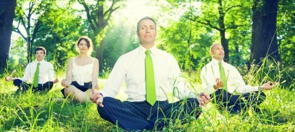 Business types meditate in green field. Photo via Shutterstock