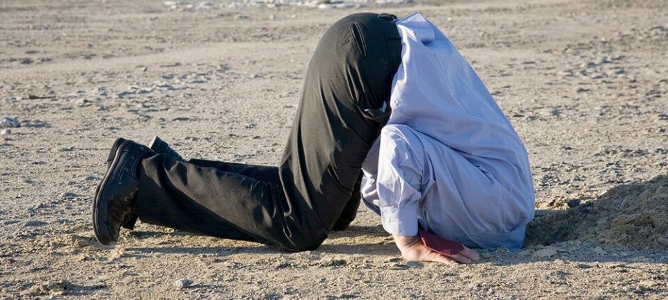 head in sand