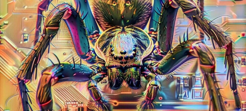 spider