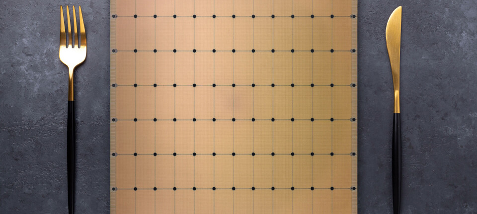 A photo of Cerebras Systems' second-generation Wafer-Scale Engine chip for AI processing.