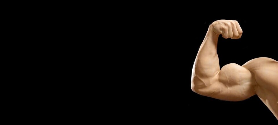 Arm muscles