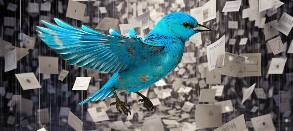 twitterlegal