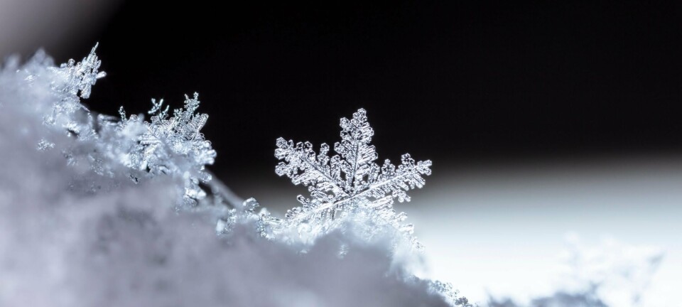 snowinwinterclose up macroimageofsnowflakeswinterholiday