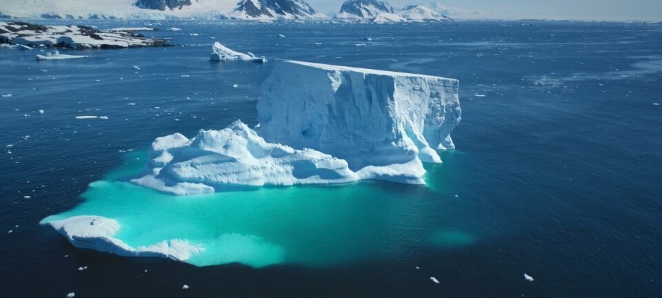 Iceberg