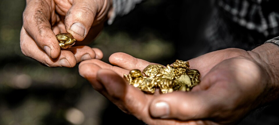 Gold rush