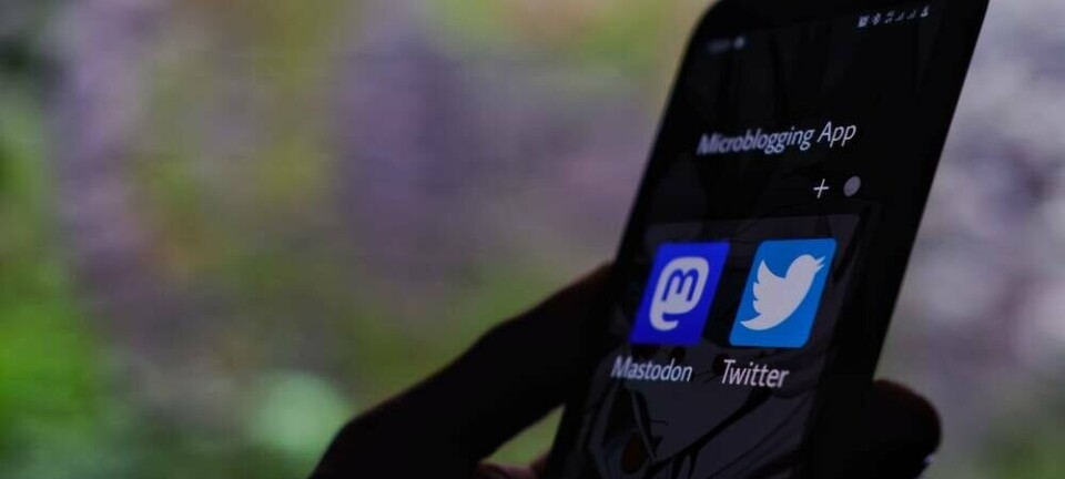 A phone showing two apps: Mastodon and Twitter