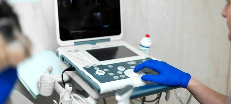 veterinary ultrasound
