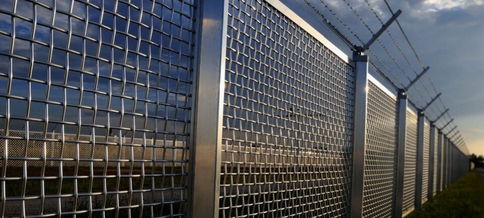 Security fence