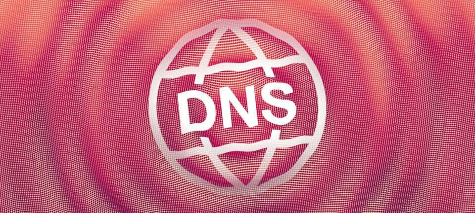 Illustration of DNS in flux