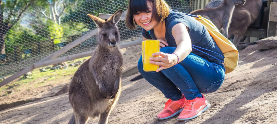 Australia in a frame