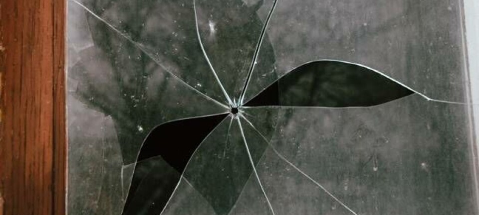 window