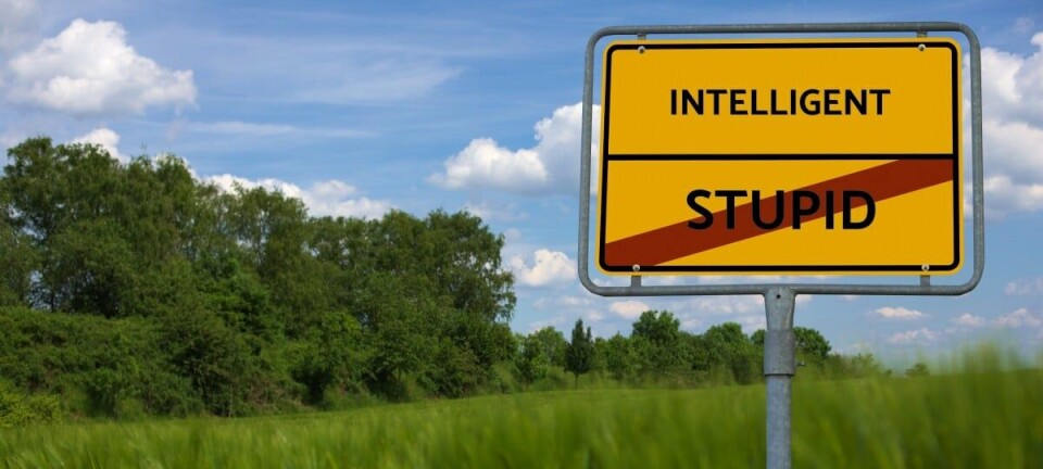 Entering Intelligent leaving Stupid