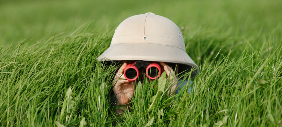 kid looks with binoculars through thick grass