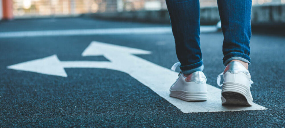 fork in the road - decision time