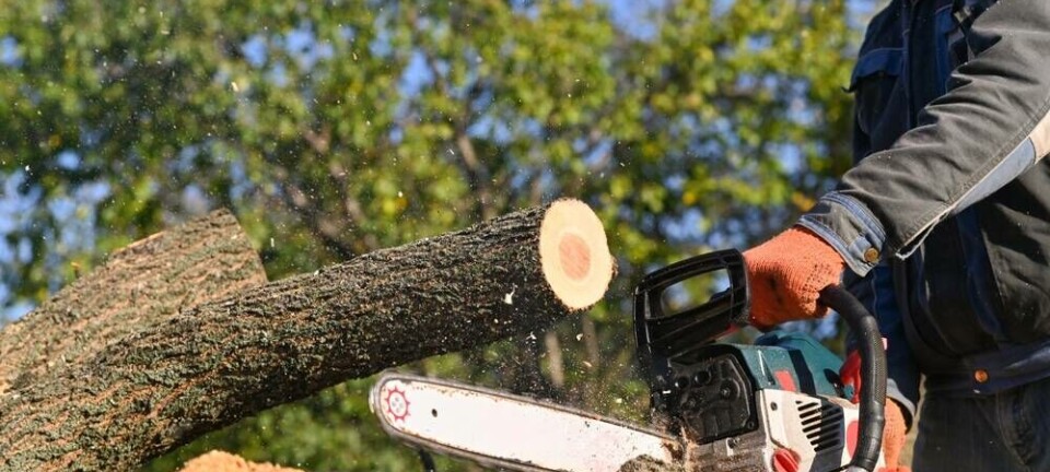 chainsaw