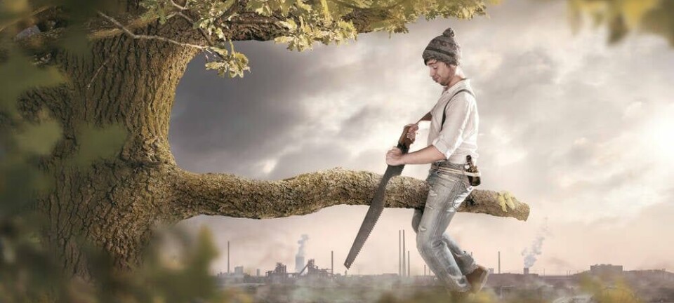 Man saws off the branch he is sitting on