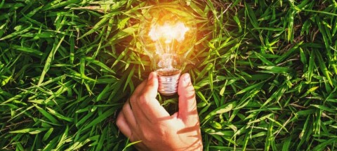 Someone holding an illuminated light bulb against green grass