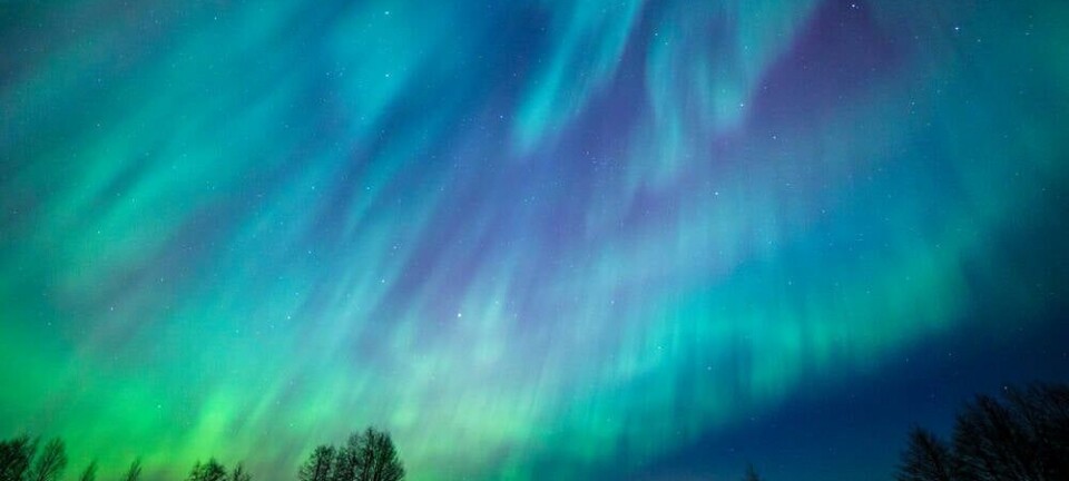Aurora