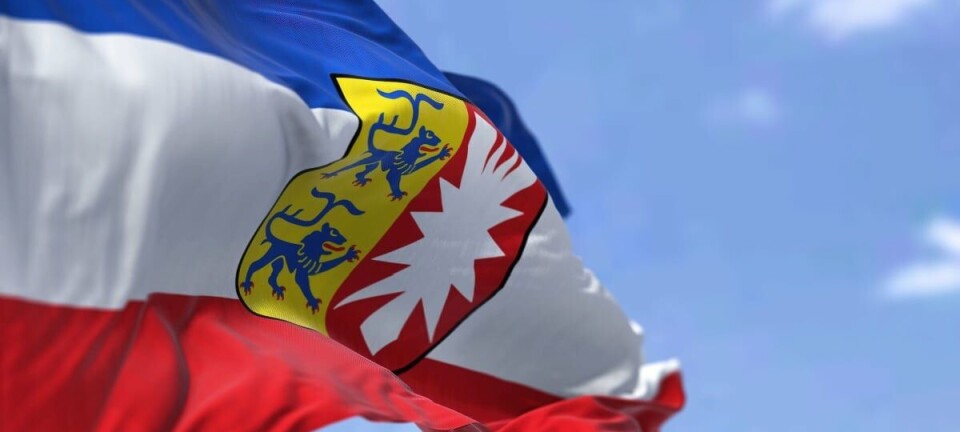 Schleswig-Holstein flag