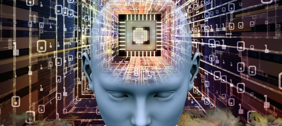 brain