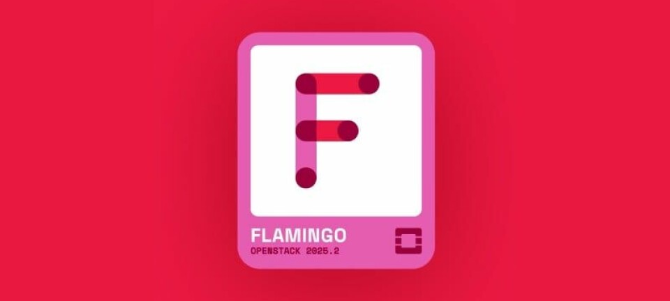 OpenStack Flamingo logo