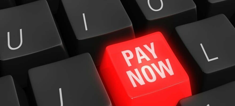 A red button reading 'pay now'