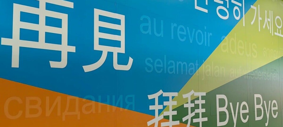 'Goodbye' in several languages on a wall at Hong Kong airport