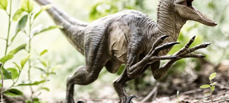 shutterstock Velociraptor