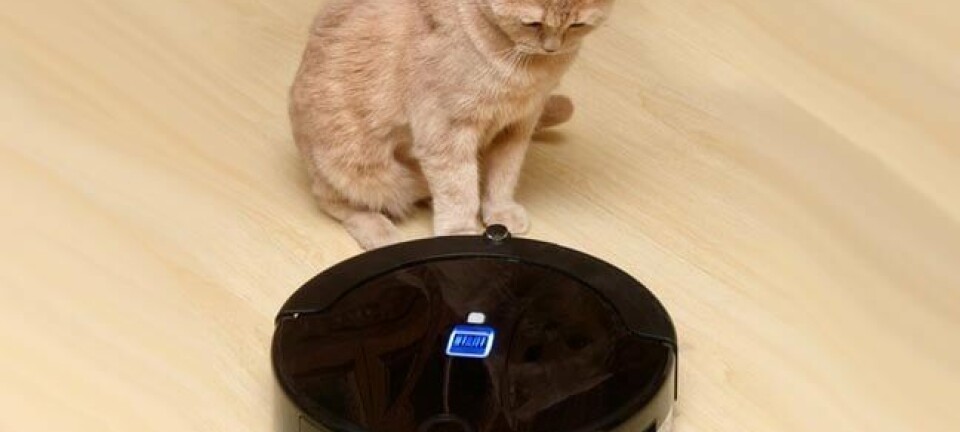 Cat stares at vacuum cleaner robot. Photo by shutterstock